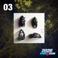 03 Sasha Louise - Wired RadioVision 2026